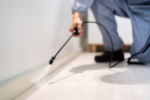 Licensed Fumigation Services service in Marion County County, TX - Nex Pest Control